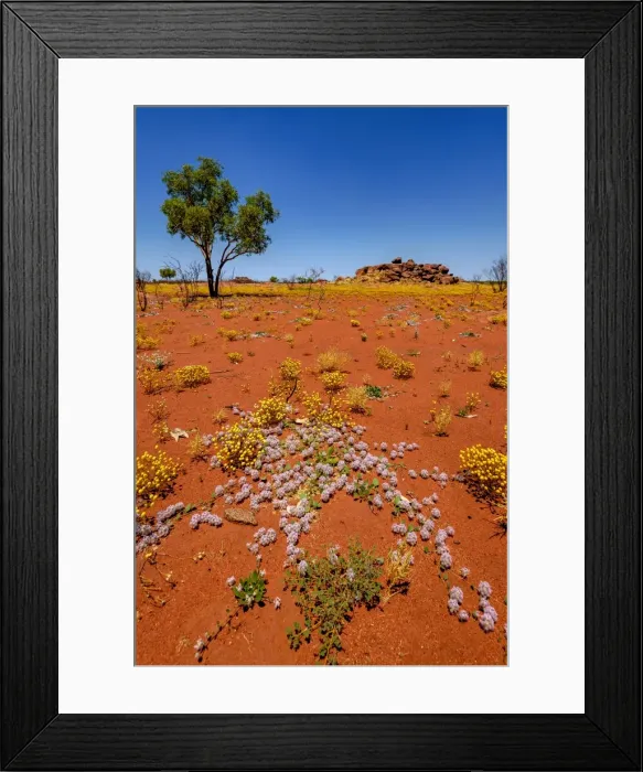 Framed Print : Parry Range