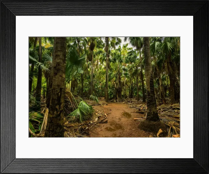 Framed Print : Rainbow Spring