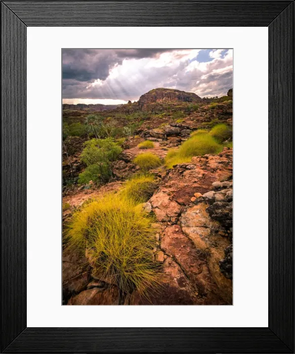 Framed Print : Goorrandalng Framed Print : Goorrandalng