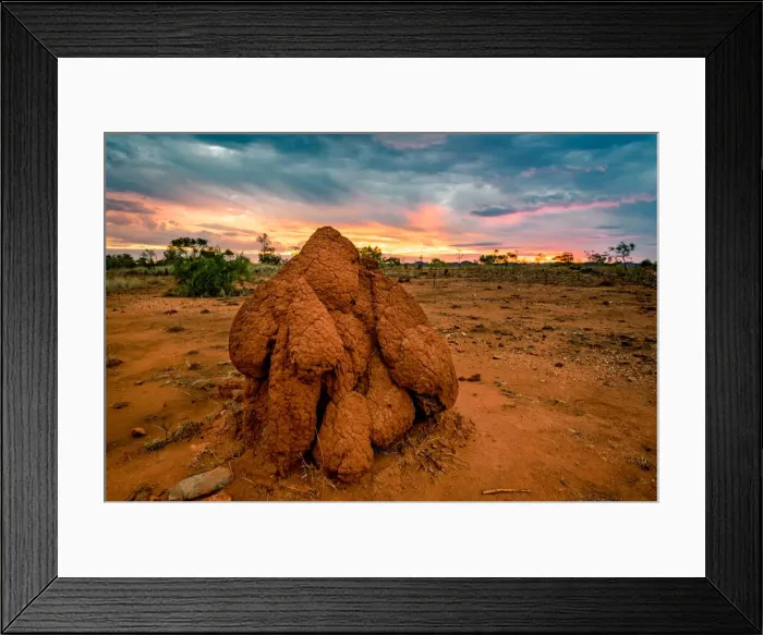 Framed Print : Termite mound