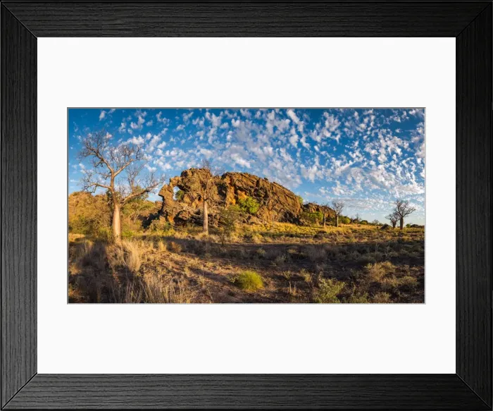 Framed Print : Baobab trees at Oscar Range Framed Print : Baobab trees at Oscar Range