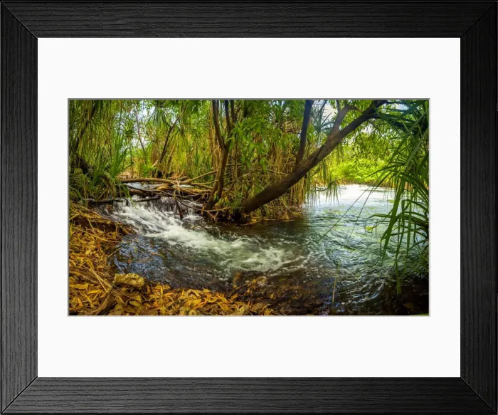 Framed Print : Mataranka Falls Framed Print : Mataranka Falls