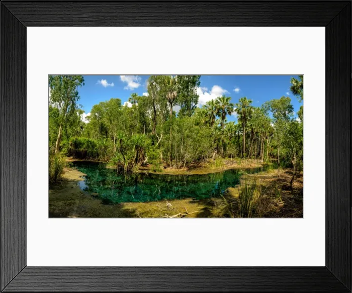 Framed Print : Mataranka Thermal Pool