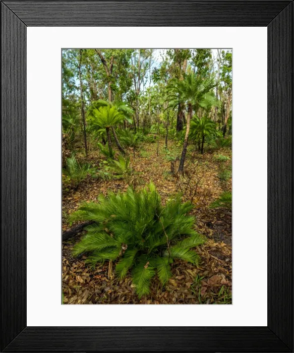 Framed Print : Charles Darwin National Park Framed Print : Charles Darwin National Park