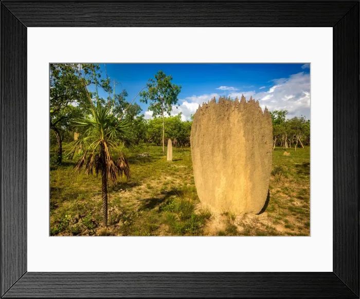 Framed Print : Termite mound in Litchfield National Park Framed Print : Termite mound in Litchfield National Park