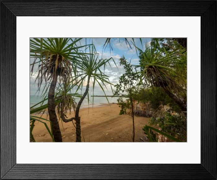 Framed Print : Cliffs of East Point Reserve