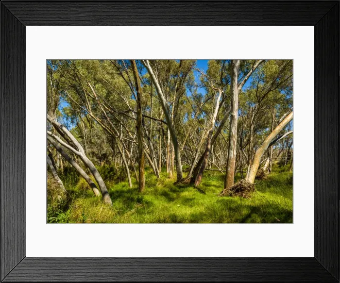 Framed Print : Finke River Framed Print : Finke River