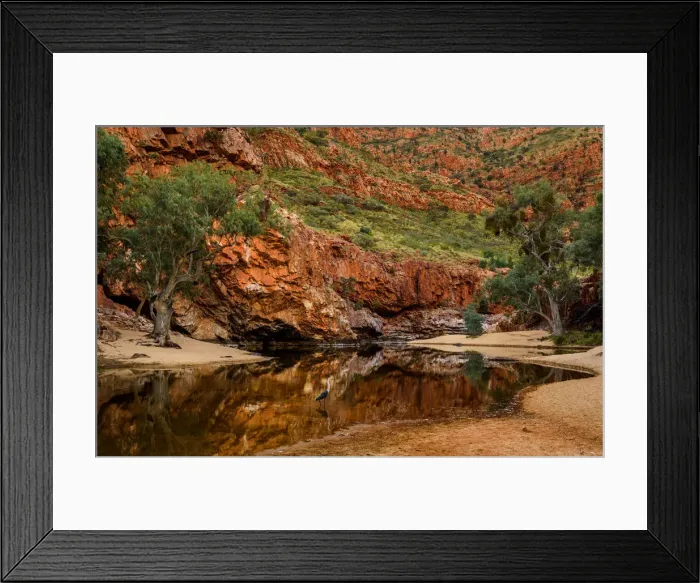 Framed Print : Egret at Ormiston Gorge Framed Print : Egret at Ormiston Gorge