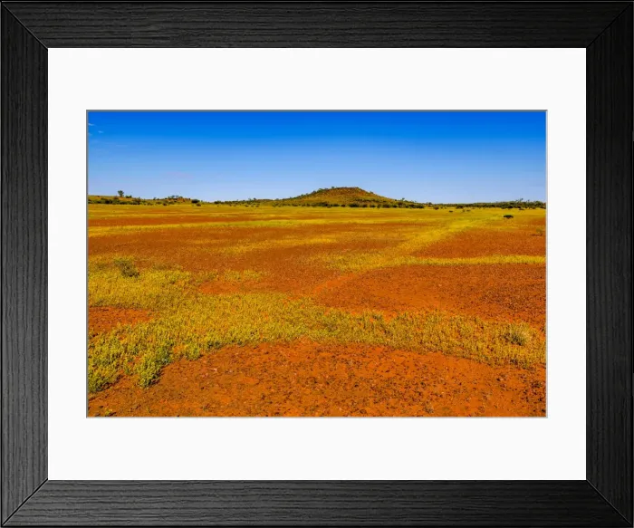 Framed Print : Flower bloom at Palmer River Framed Print : Flower bloom at Palmer River