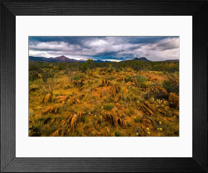 Framed Print : Gost Gum Flat at West Macdonnell Ranges