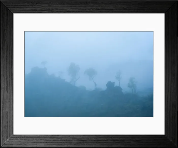Framed Print : Trees in the fog at West Macdonnell Ranges Framed Print : Trees in the fog at West Macdonnell Ranges