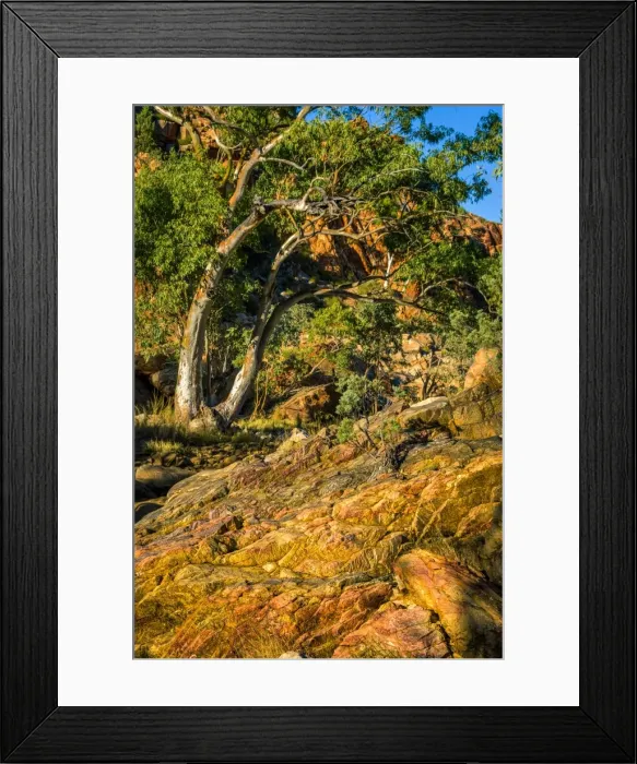 Framed Print : Refuge Spring at West Macdonnell Ranges Framed Print : Refuge Spring at West Macdonnell Ranges