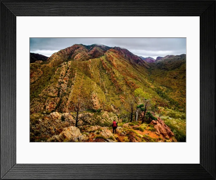 Framed Print : Fringe Lily Creek from Razorback Ridge Framed Print : Fringe Lily Creek from Razorback Ridge