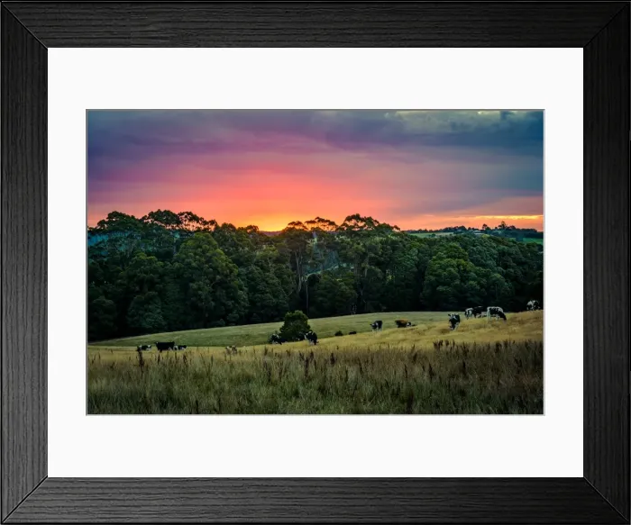 Framed Print : Rural scene in Great Otway National Park, Victoria