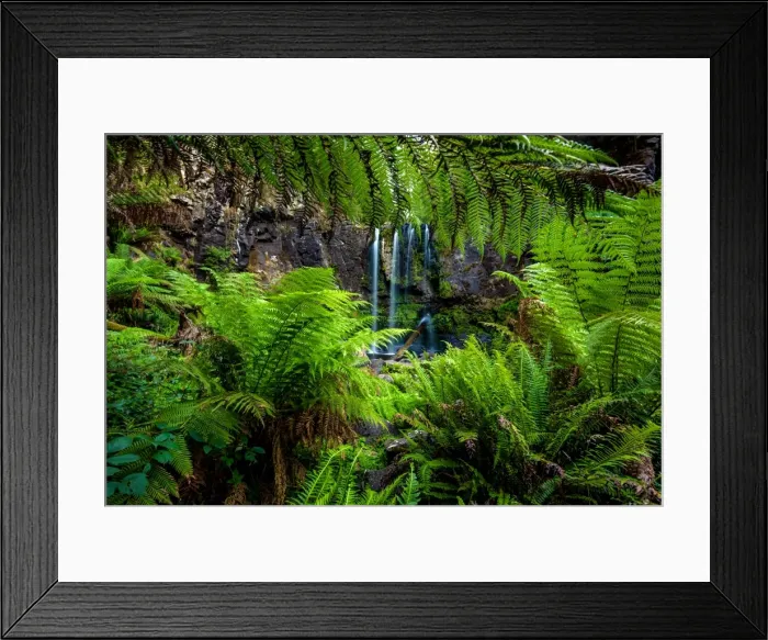 Framed Print : Beauchamp Falls, Great Otway National Park, Victoria Framed Print : Beauchamp Falls, Great Otway National Park, Victoria
