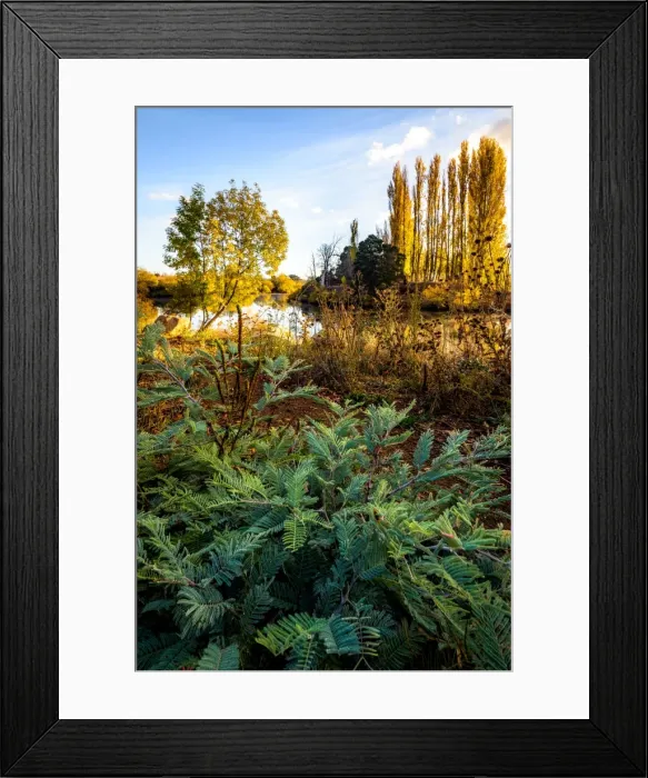 Framed Print : Autumn Colors by Derwent River in Tasmania Framed Print : Autumn Colors by Derwent River in Tasmania