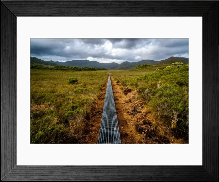 Framed Print : New Track through Luisa Plains at South Coast track, Southwest Tasmania Framed Print : New Track through Luisa Plains at South Coast track, Southwest Tasmania