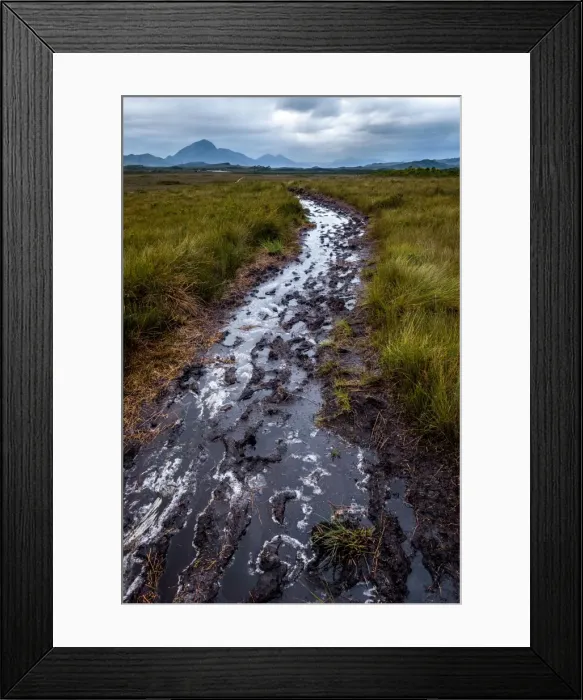 Framed Print : Muddy track to Melaleuca, South Coast track, Southwest Tasmania Framed Print : Muddy track to Melaleuca, South Coast track, Southwest Tasmania
