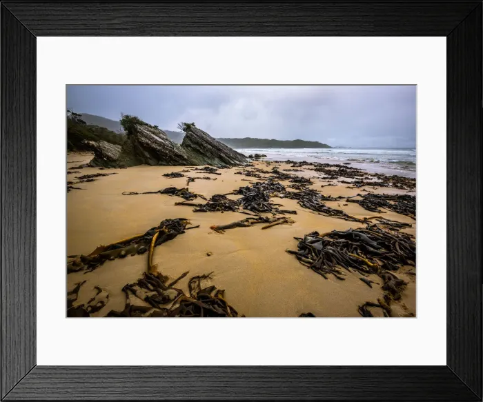 Framed Print : Deadmans Bay at South Coast track, Southwest Tasmania Framed Print : Deadmans Bay at South Coast track, Southwest Tasmania