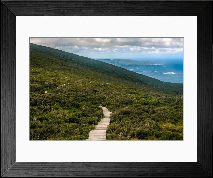 Framed Print : Track at the top of Ironbound Range, South Coast track, Southwest Tasmania