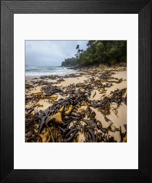 Framed Print : Deadmans Bay at South Coast track, Southwest Tasmania