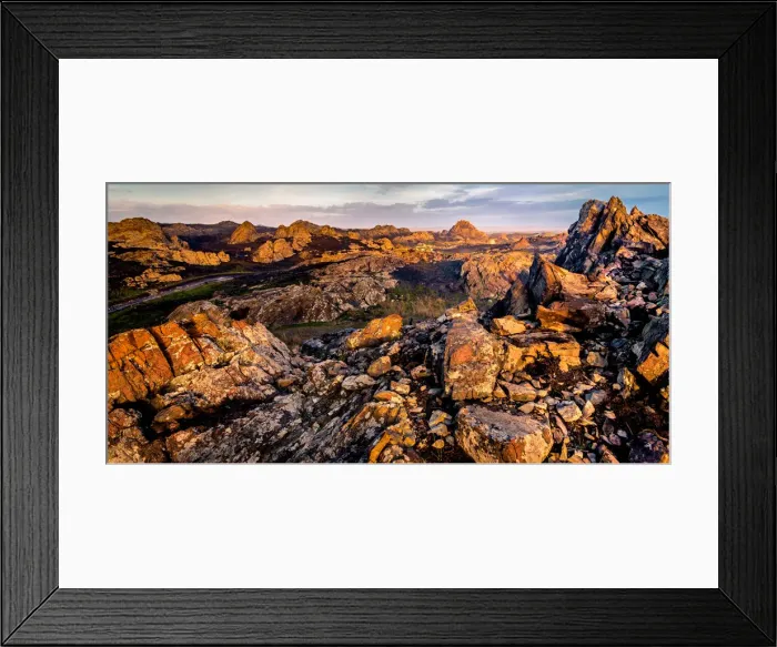 Framed Print : Wild Tarkine Coast after Bush fires, Tasmania