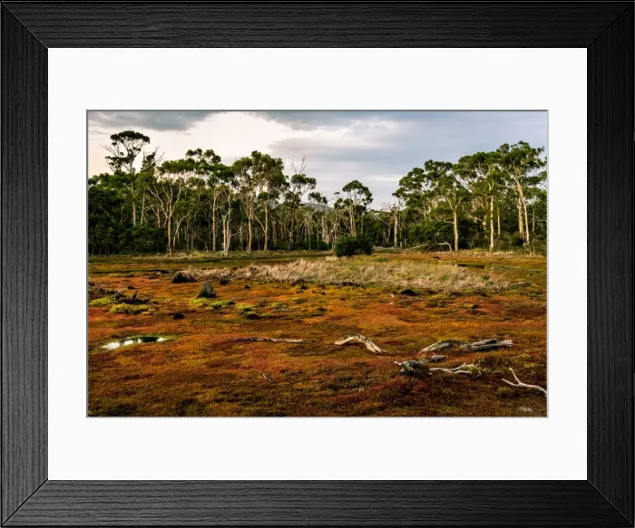 Framed Print : Croocked Laggon at Maria Island, Tasmania