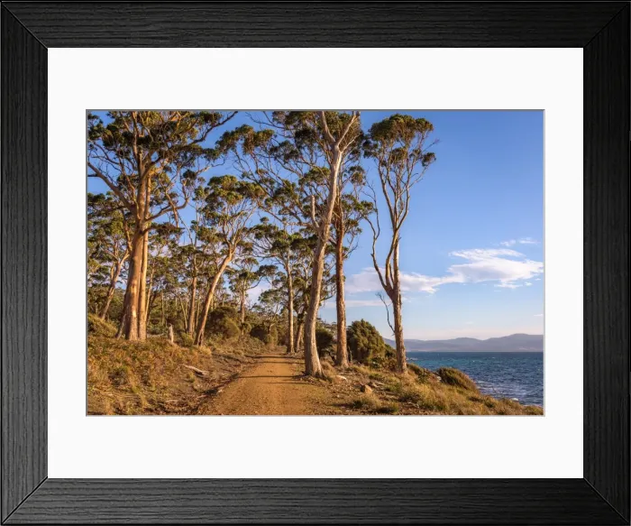 Framed Print : Frenchs Farm Road at Maria Island