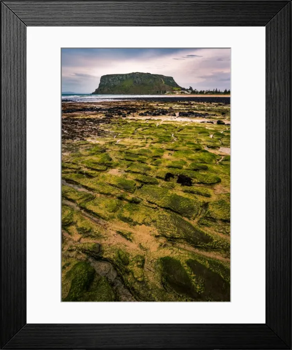 Framed Print : Stanley and The Nut, Tasmania Framed Print : Stanley and The Nut, Tasmania