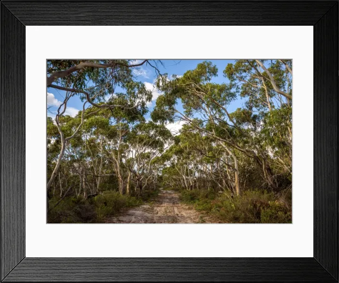 Framed Print : Frenchs Farm Inland Road at Maria Island