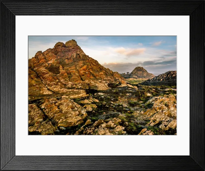Framed Print : Wild Tarkine Coast after Bush fires, Tasmania