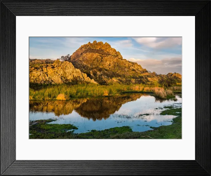 Framed Print : Wild Tarkine Coast after Bush fires, Tasmania