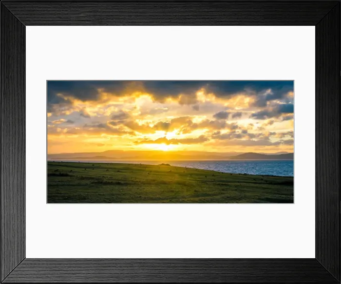 Framed Print : Kangaroos at Cape Boullanger, Maria Island, Tasmania Framed Print : Kangaroos at Cape Boullanger, Maria Island, Tasmania