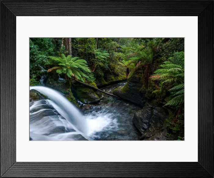Framed Print : Liffey Falls, Tasmania