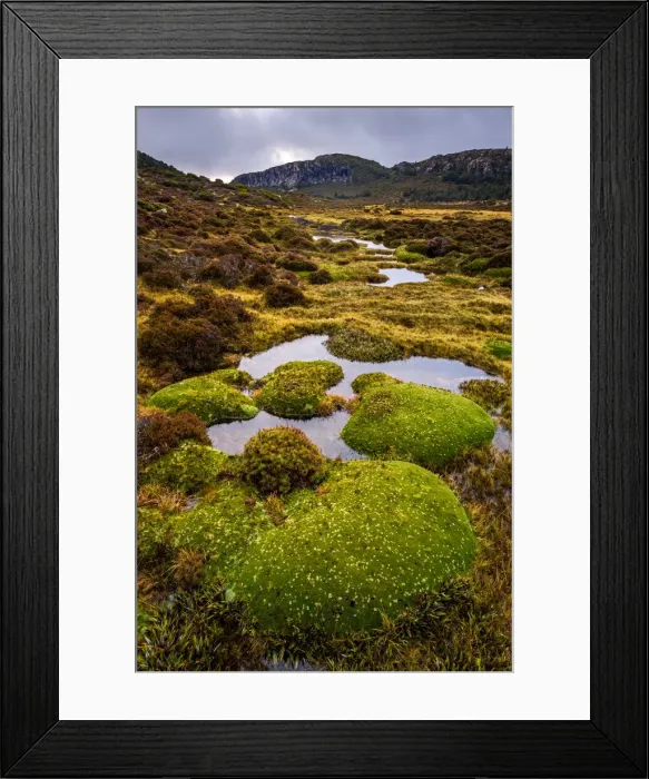 Framed Print : Tarns and King Davis Peak in Walls of Jerusalem National Park, Tasmania