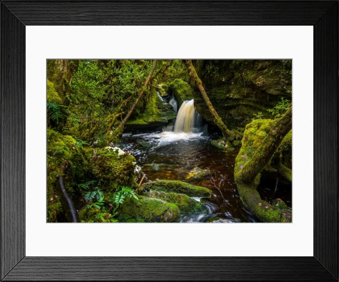 Framed Print : Waherfall on the track to Frenchmans Cap, Franklin-Gordon Wild Rivers National Park, Tasmanis Framed Print : Waherfall on the track to Frenchmans Cap, Franklin-Gordon Wild Rivers National Park, Tasmanis