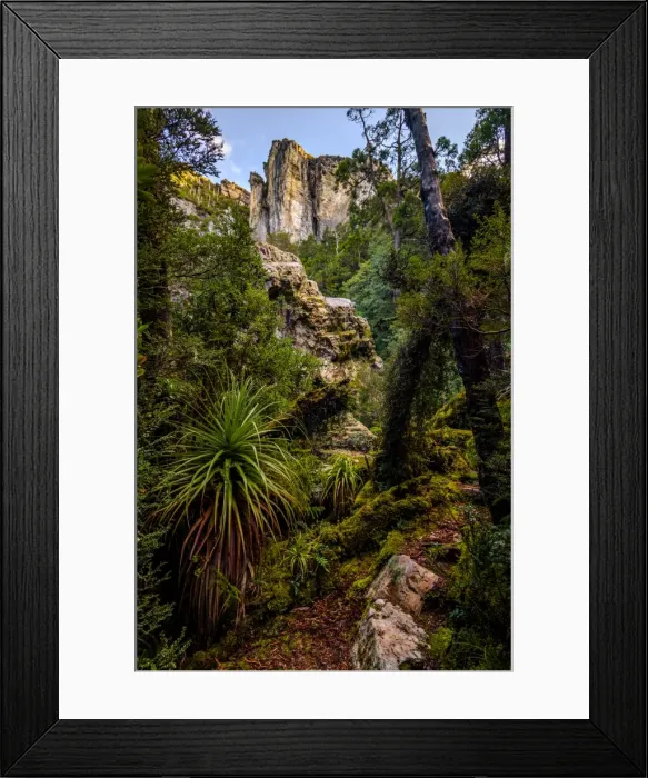 Framed Print : Sharlands Peak in Track to Frenchmans Cap, Franklin-Gordon Wild Rivers National Park, Tasmania Framed Print : Sharlands Peak in Track to Frenchmans Cap, Franklin-Gordon Wild Rivers National Park, Tasmania
