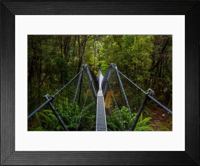 Framed Print : Bridge across Franklin River on the track to Frenchmans Cap, Franklin-Gordon Wild Rivers National Park, Tasmanis