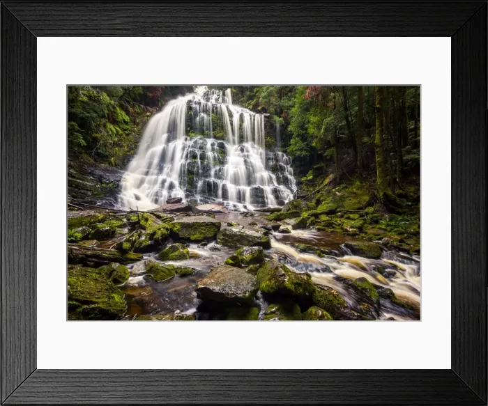 Framed Print : Nelson Falls in Franklin-Gordon Wild Rivers National Park, Tasmania Framed Print : Nelson Falls in Franklin-Gordon Wild Rivers National Park, Tasmania