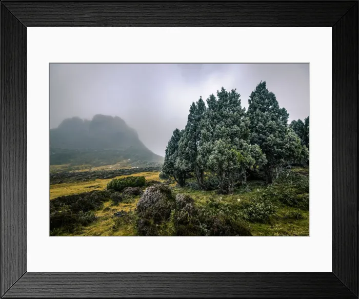 Framed Print : Solomons Throne in Walls of Jerusalem National Park, Tasmania