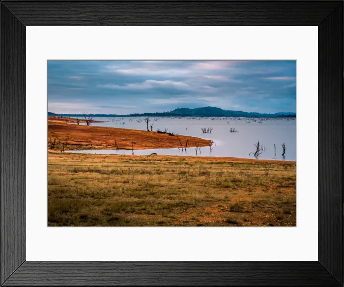 Framed Print : Drowned trees at Lake Hume, Victoria Framed Print : Drowned trees at Lake Hume, Victoria