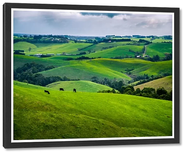 Rolling hills of Victoria Gippsland
