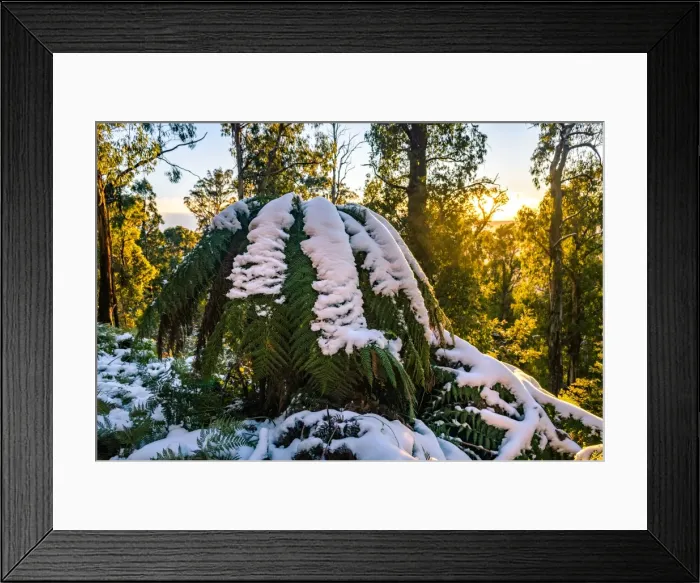 Framed Print : Sunrise at Mount Skene in Australian Alps, Victoria Framed Print : Sunrise at Mount Skene in Australian Alps, Victoria