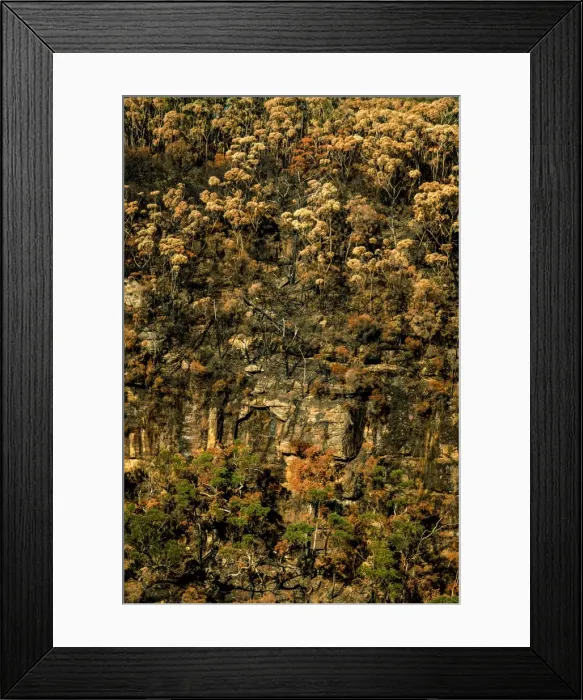 Framed Print : Burned Kangaroo Valley in southern highland, New south Wales