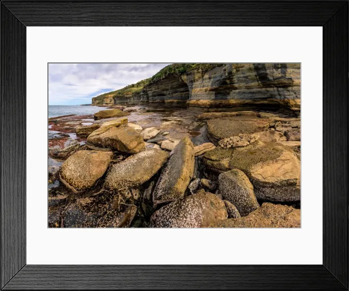 Framed Print : Wasp Head in South Durras, New South Wales Framed Print : Wasp Head in South Durras, New South Wales