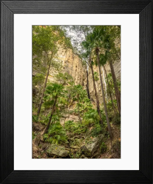 Framed Print : The Amphitheatre at Carnarvon Gorge
