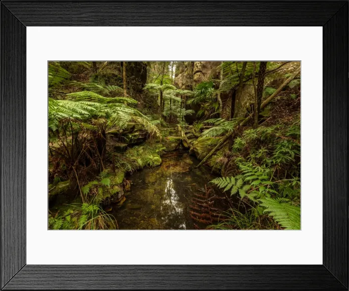Framed Print : Wards Canyon at Carnarvon Gorge Framed Print : Wards Canyon at Carnarvon Gorge