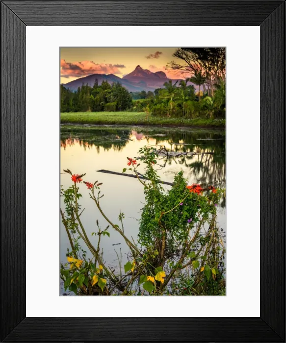Framed Print : Sunrise at Tweed River and Mount Warning Framed Print : Sunrise at Tweed River and Mount Warning