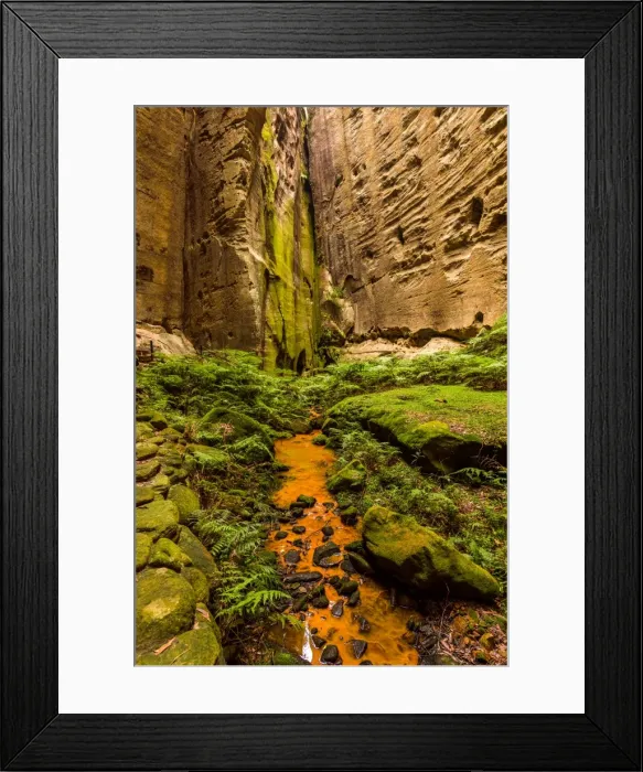 Framed Print : The Amphitheatre in Carnarvon Gorge, Queensland Framed Print : The Amphitheatre in Carnarvon Gorge, Queensland