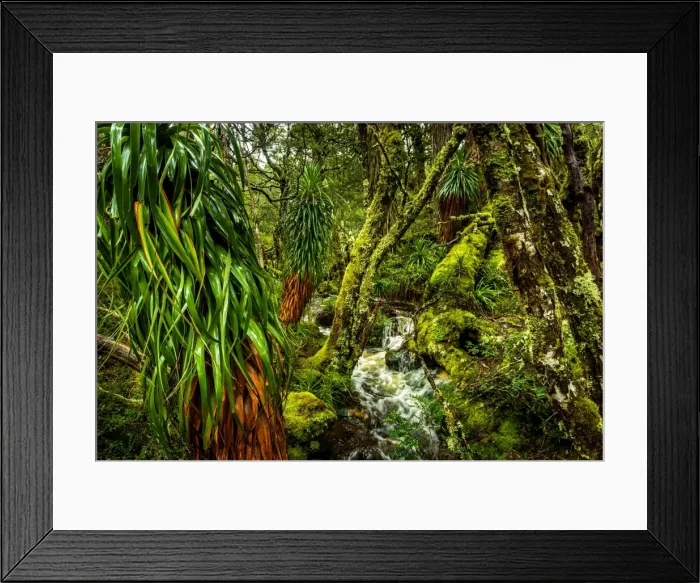 Framed Print : Waterfall at Overland track, Tasmania Framed Print : Waterfall at Overland track, Tasmania
